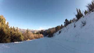 Snow sledding gone wrong....