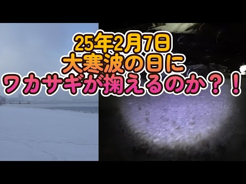 【ワカサギ掬い】25年2月7日 大寒波の日に湖西でワカサギが掬えるか？