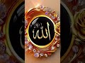 #bayan #viralvideo #vlogs #maulanatariqjameelcoronavirusperbayan