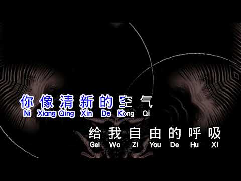 希望今天遇见你  DJ  xi wang jin tian yu jian ni
