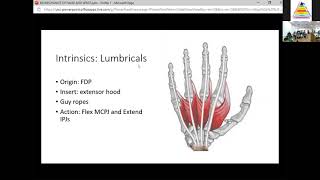 Biomechanics of Hand and Wrist- London Hand and Wrist Course