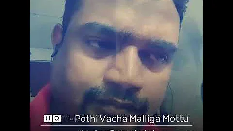 Pothi vacha malliga mottu