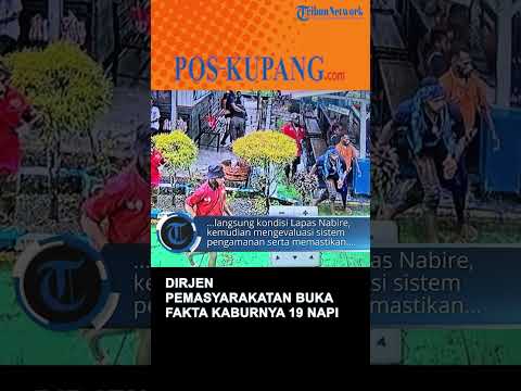 Napi Di Papua Dapat Remisi 42 Orang Langsung Bebas