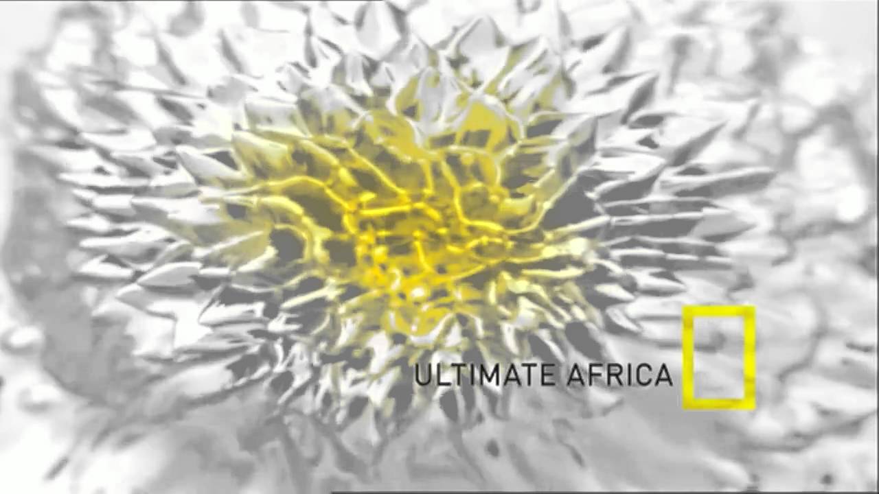 Nat Geo HD 720p - Continuity - 03.2011