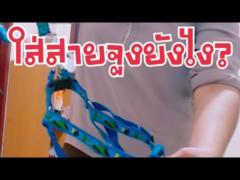 วิธีใส่สายจูงสุนัข|งงเหมือนกันมั้ย ใส่สายจูงสุนัขยังไง?