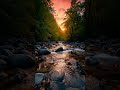 Menikmati Suasana Senja di Sungai #shorts