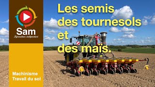 Les semis de maïs et Tournesols. Différents sols avec observations et démonstration.