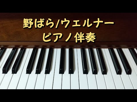 野ばら/ウェルナー　ピアノ伴奏のみ(メトロノームなし)