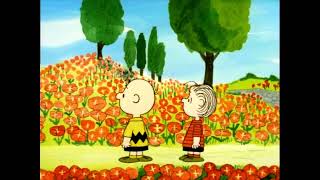 Charlie Brown 'What have we learned?' Remembrance Sunday