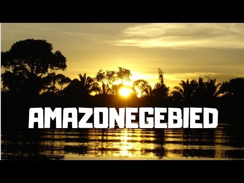 De Functie van het Amazone Regenwoud!