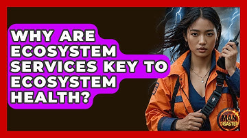 Why Are Ecosystem Services Key To Ecosystem Health? - Man vs. Disaster