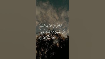 جزء من سورة الجاثية بصوت الشيخ رعد الكردي 《 أفرءيت من اتخذ إلهه هواه وأضله الله على علم..》