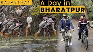 Bharatpur Bird Sanctuary | Famous kachori | Apna Ghar | Street Food | Rajasthan