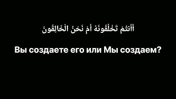 Мухаммад Шариф Эльжаркиев - сура 56 аль-Вакиа (Событие)