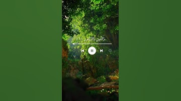 سورة التين، القارئ وديع اليمني