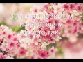 Полезные привычки