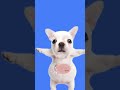 #shortvideo #viral #viralvideo #shorts