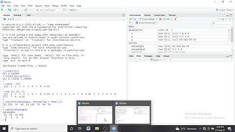mengenal fungsi, operator dan matrik dalam bahasa pemrograman R #statprob #ituinarraniry