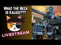 Checking Out KALICO KLIPPER Livestream 3dprinting 