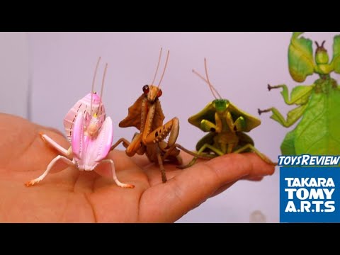 ตำข้าว3ใบไม้1[พี่เยียร์รีวิว] ep.8 Takara Tomy A.R.T.S gashapon mimicry insect 2021