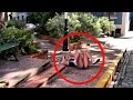 25 WEIRDEST THINGS EVER CAUGHT ON SECURITY CAMERAS & CCTV!