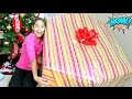 Opening a Giant Christmas Present What I got for Christmas B2cutecupcakes
