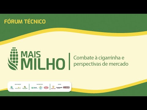 Fórum Mais Milho: Combate à cigarrinha e perspectivas de mercado | Canal Rural