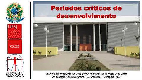 Qual o período crítico para o desenvolvimento do sistema nervoso?