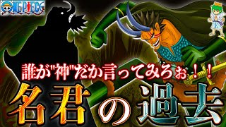 【ONE PIECE 神回】ハラルドの過去判明!!シャンクスが左腕を無くした理由＆イムにより悪魔化していた！※考察&ネタバレ注意