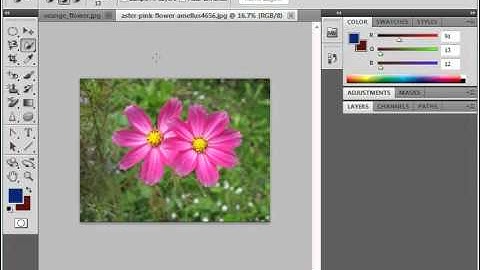 Photoshop CS5 Tutorial Making Pixel Selections Adobe Training Lesson 7.2