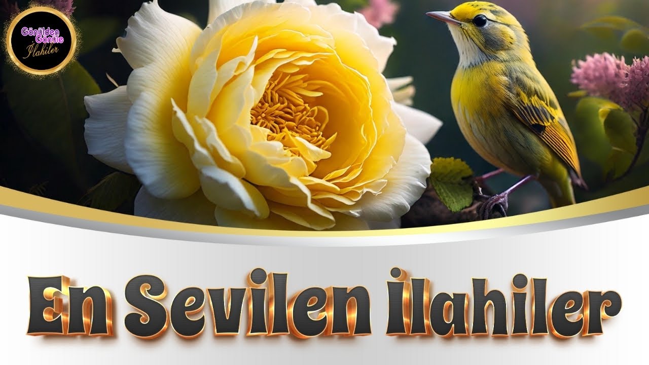 EN SEVİLEN İLAHİLER | EN GÜZEL İLAHİLER | MÜZİKSİZ İLAHİLER | MEŞHUR İLAHİLER | KARIŞIK İLAHİ