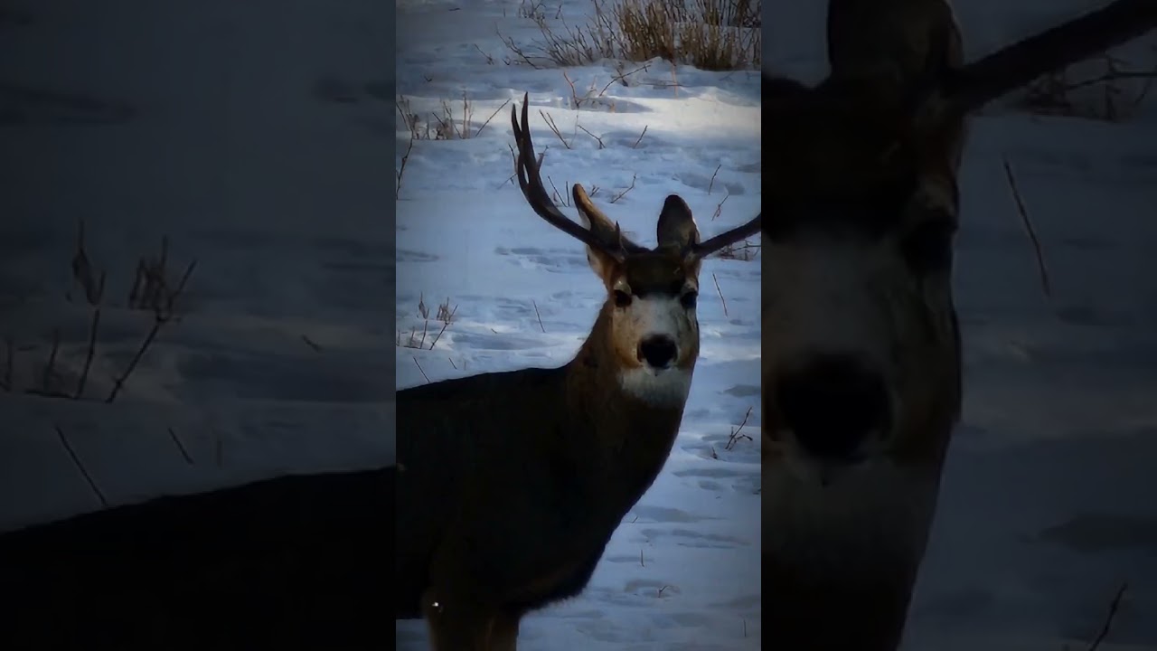 My first edit, should I make more? 