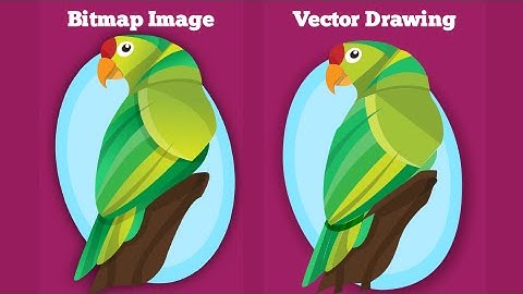 Easily convert bitmap images into vector drawing - Coreldraw Tutorials