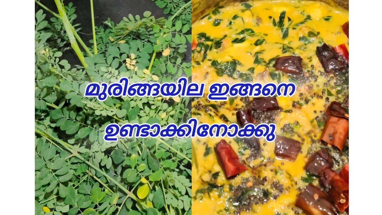 ചക്കക്കുരു മുരിങ്ങ ഇല ഇങ്ങനെ കറിവെച്ചു നോക്കു. ചോർ ബാക്കിയാവില്ല. Kp-Tastes.