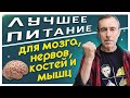 Лучшее Питание для Мозга, Нервов, Костей и Мышц. Нет целлюлита, нет старения, нет седины