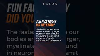 Did You Know - Neuron speed - Latus Health
