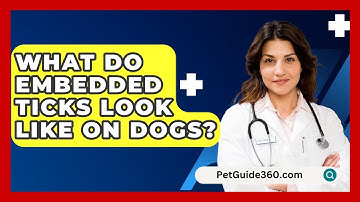 What Do Embedded Ticks Look Like on Dogs? - PetGuide360.com