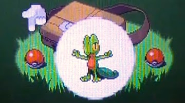 Pokémon Emerald Walkthrough Part 2 - First Pokémon