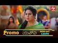 Yashoda Latest Promo | Episode No 191 | 8th June  2026 | ETV Telugu