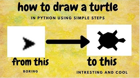 how to draw a turtle on python l programming kids