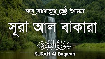 ঘরের উন্নতির জন্য সূরা বাকারা প্রতিদিন শুনুন । Al-Baqara (سورة البقره) Most Beautiful Reaction Aqel