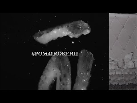 Видео: #РомаПожени +100500 ₽аз 