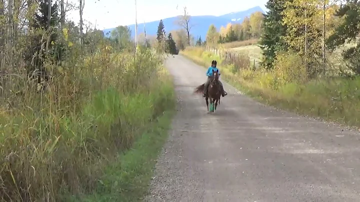 Rusty Canter 2