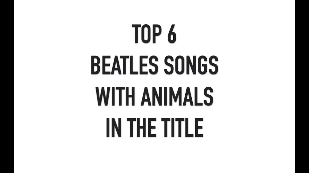 Top 6 Beatles Songs With Animals In The Title - YouTube