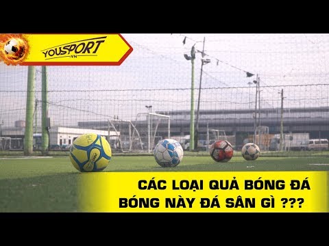Video Các loại quả bóng đá - Sân nào dùng bóng gì ? - youtube