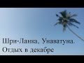 ►370. Плюсы отдыха на Шри-Ланке, отель Унаватуна Beach Resort