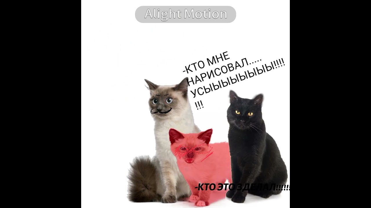 ||НЕ В ОБИДУ|| С 