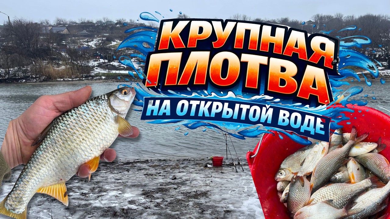 ВОТ ЭТО ПЛОТВА, МЫ НЕ ОЖИДАЛИ!!! ФИДЕРНАЯ РЫБАЛКА НА МАЛОЙ РЕКЕ. БЕШЕННЫЙ КЛЕВ.