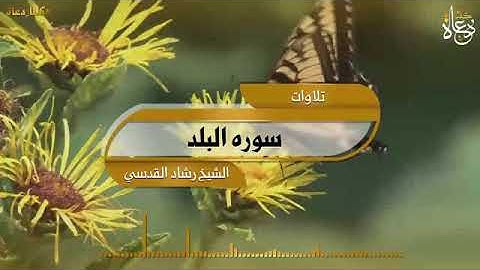 سوره البلد الشيخ رشاد القدسي