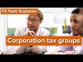 TX Topic Explainer: Corporation Tax Groups